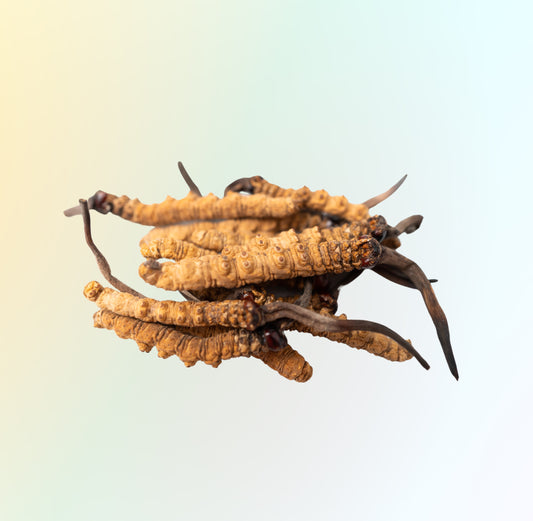 Cordyceps: The Remarkable Fungus for Skin and Health - A Must-Have in Your Wellness Routine - Vital Duo | The Next Generation of Age Defy