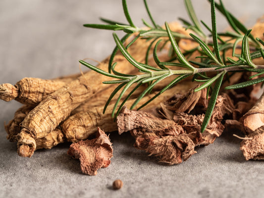 Complete Guide to Adaptogens in Chocolate: Benefits, Science & How to Choose